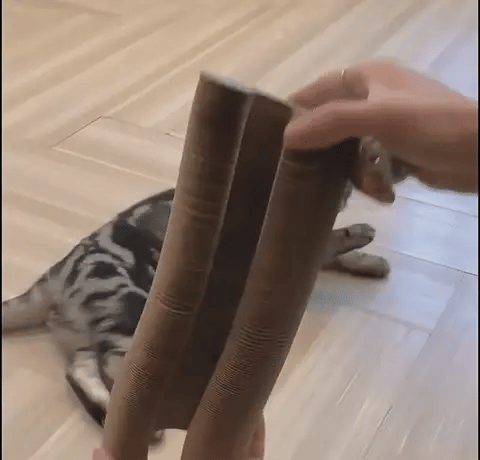 Scratch & Play | De Ultieme Krab- en Speelplek voor Jouw Kat! 🐾