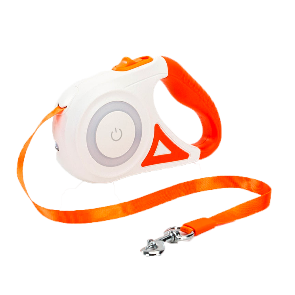 PawGlow – Veilig en stijlvol wandelen, dag en nacht!