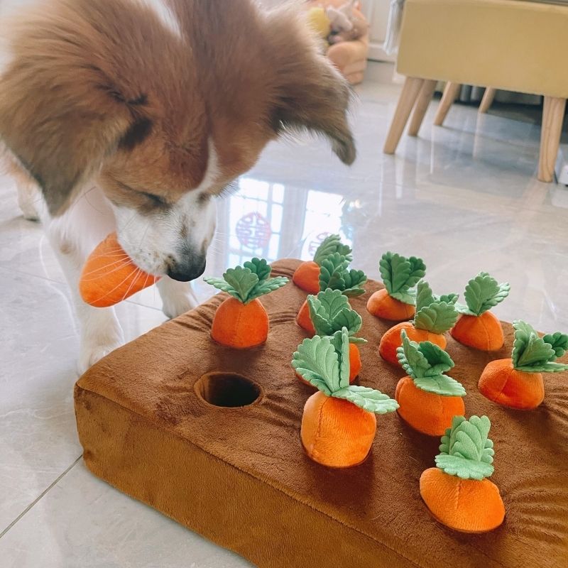 Snuffelwortel - De leukste manier om verveling tegen te gaan en je hond mentaal uit te dagen!