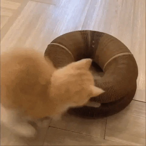 Scratch & Play | De Ultieme Krab- en Speelplek voor Jouw Kat! 🐾