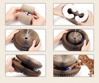Scratch & Play | De Ultieme Krab- en Speelplek voor Jouw Kat! 🐾